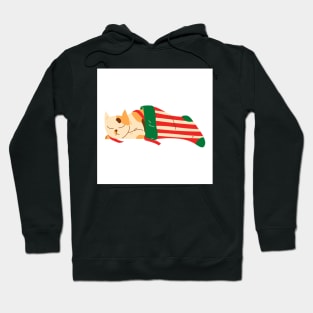 Cat Sleeping in Christmas Stocking Hoodie